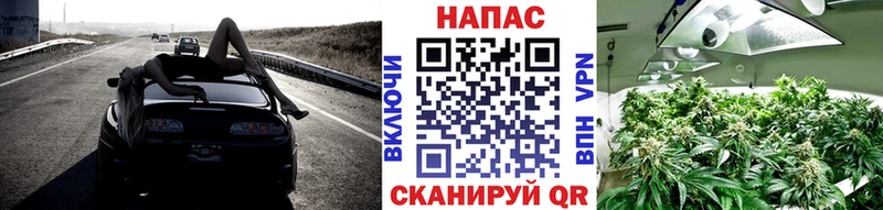 Бошки марихуана OG Kush  даркнет телеграм  Среднеколымск 